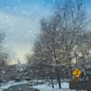 Meet your Posher, Carol